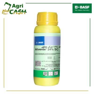 Slide3 الفيردي 24%