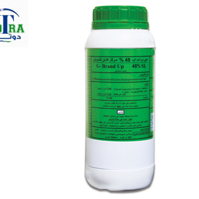 جي براند اب %48