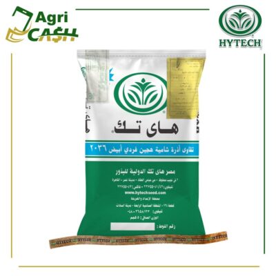 هجين ذرة شامية فردى ابيض 2036