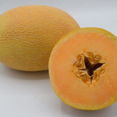 اناناس_219_(1) هــجــيــن الفا لـــذيــذ 219