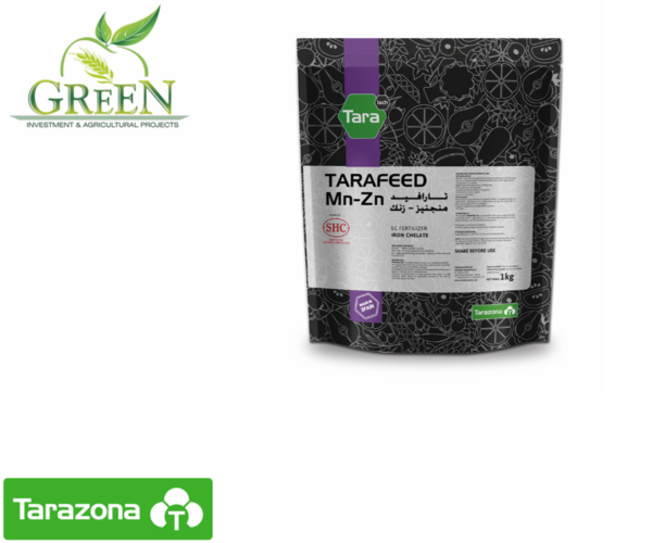 تارافيد منجيز - زنك