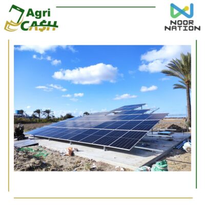 وحدة لايف بوكس 25 حصان