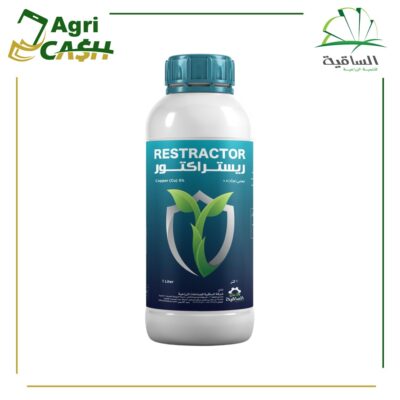 ريستراكتور