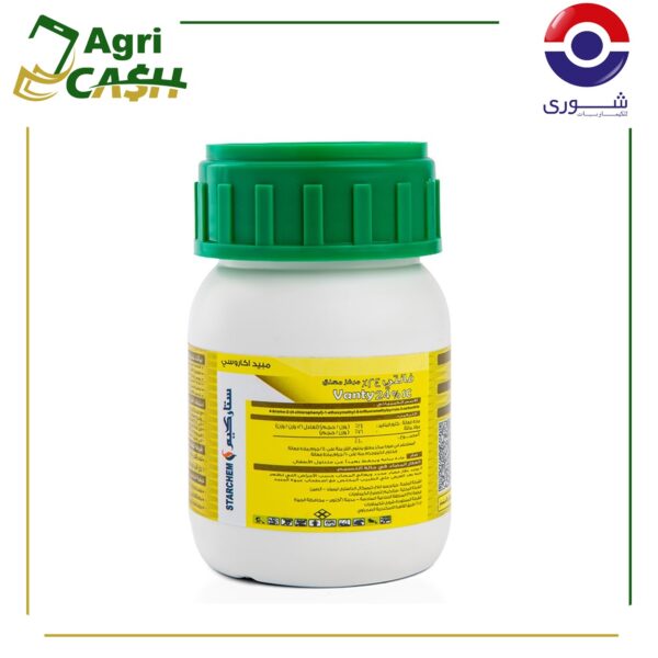 فـانـتـي٪24