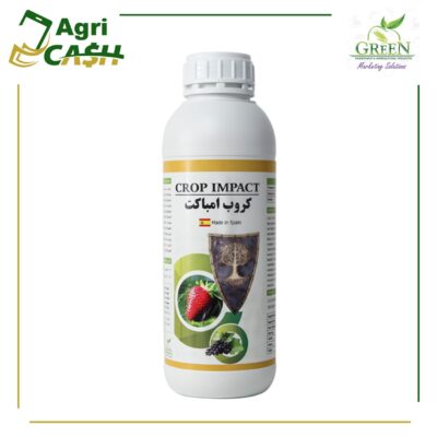 كروب امباكت