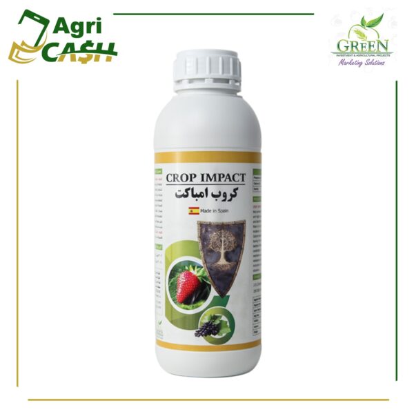 كروب امباكت