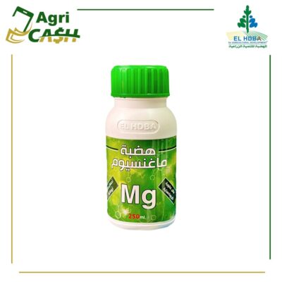 هضبة ماغنسيوم