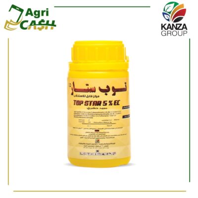 توب ستار توب ستار