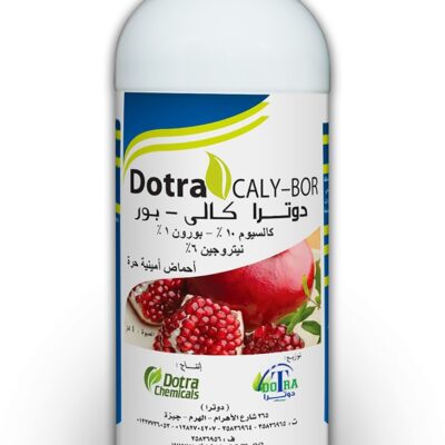 دوترا كالي – بور