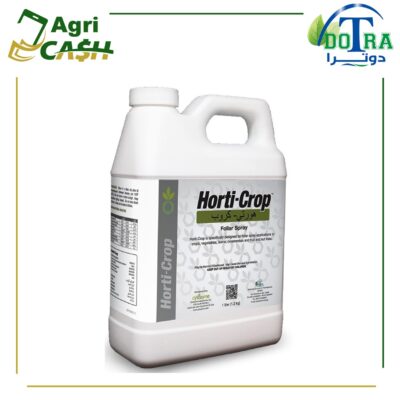 هورتى كروب هورتى كروب