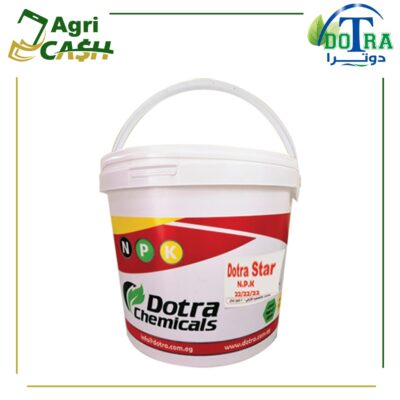 دوترا ستار 22/22/22