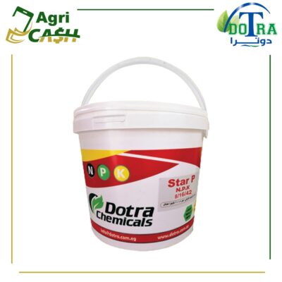 دوترا ستار 42/16/8