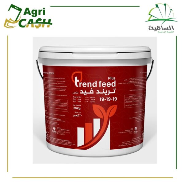 تريند فيد 19-19-19